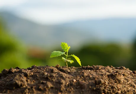 ISO 14001 - Milieumanagement